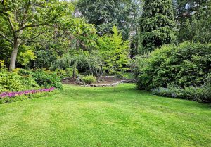 Optimiser l'expérience du jardin à Etricourt-Manancourt